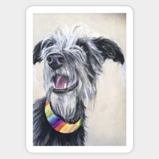 Scruffy Lurcher rainbow collar Sticker